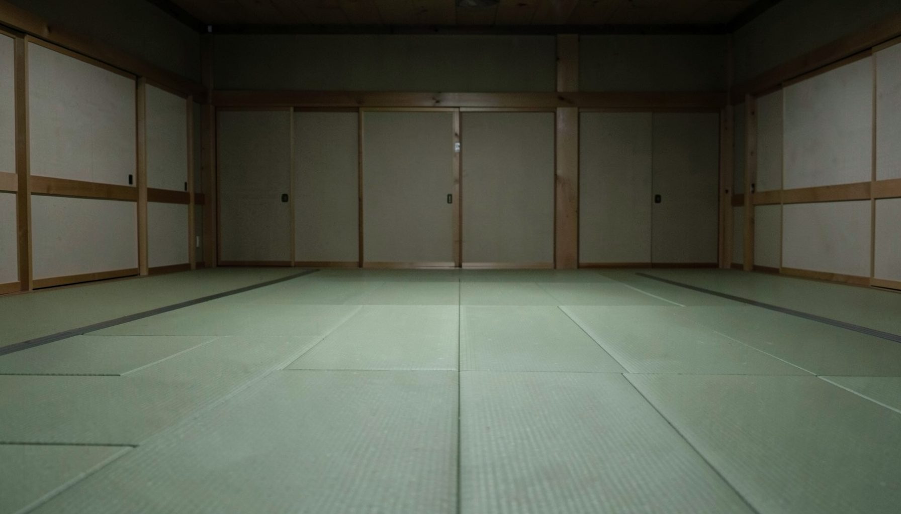 Tatami o piso acolchado de dojo con luz tenue, ambiente de entrenamiento marcial limpio y ordenado